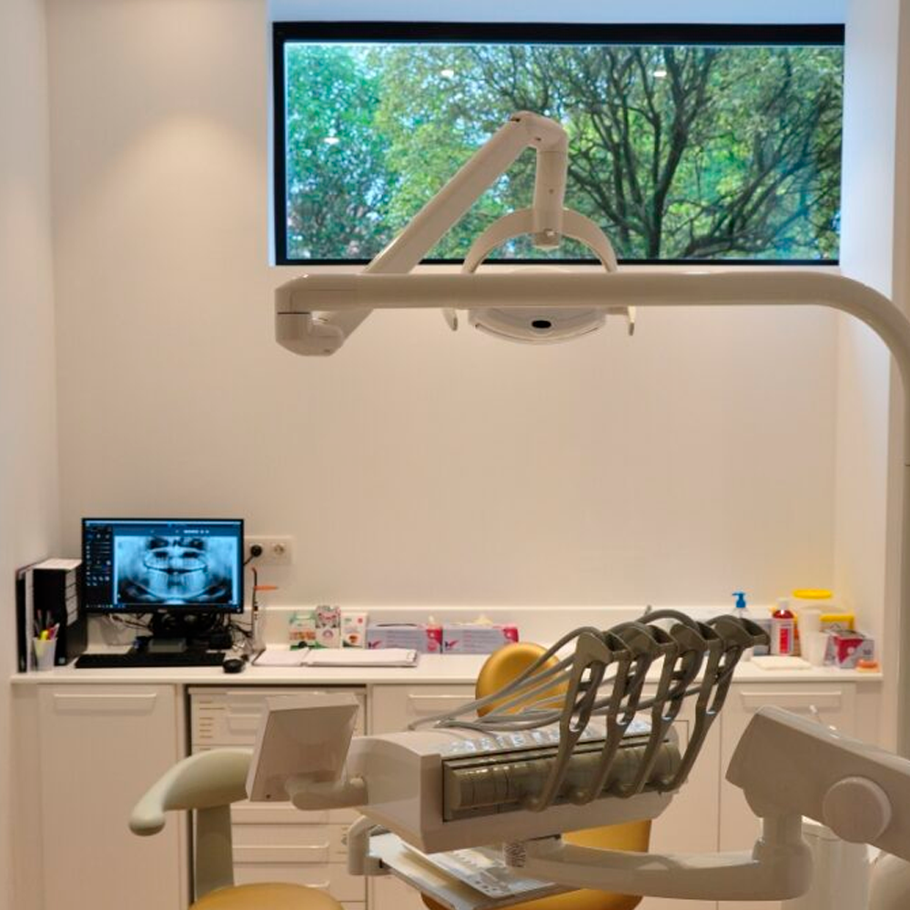 alaia dental leioa